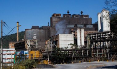 A Importância econômica