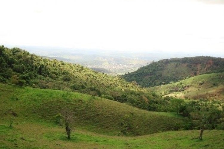 Alto do Galo