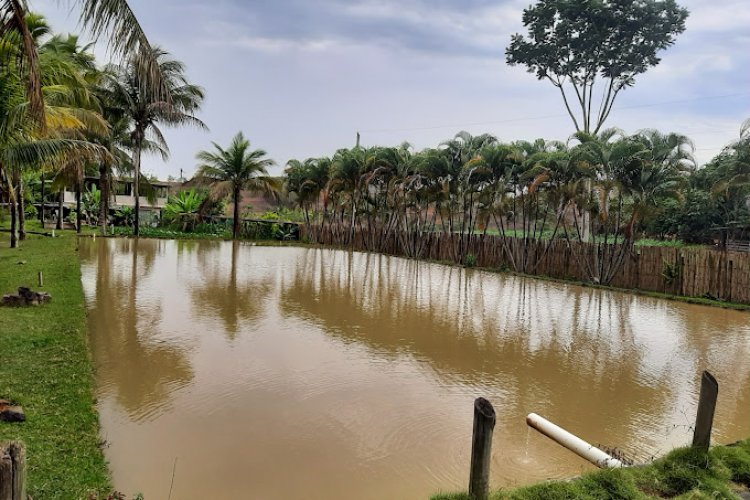 Elci Country Club