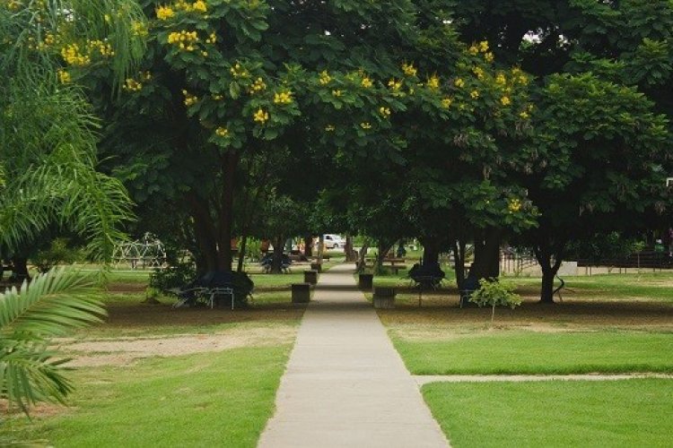 Parque Municipal