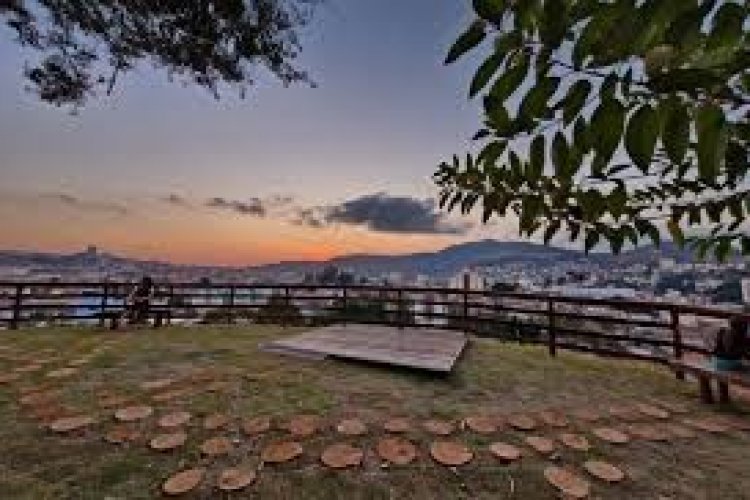 Parque do Areão