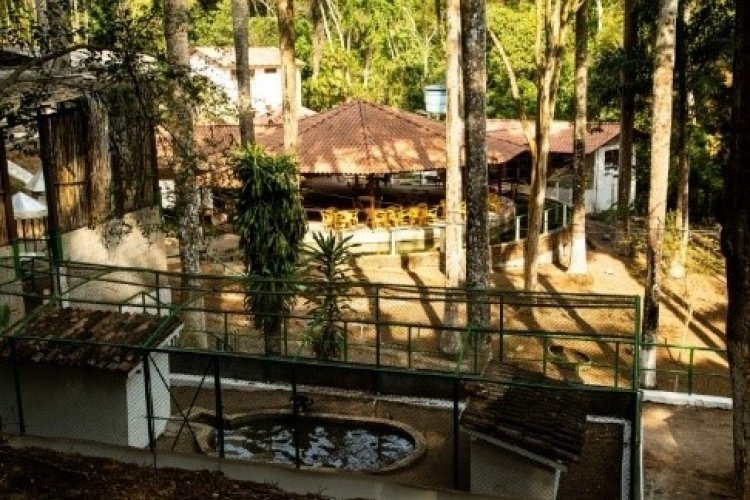 Floresta Clube