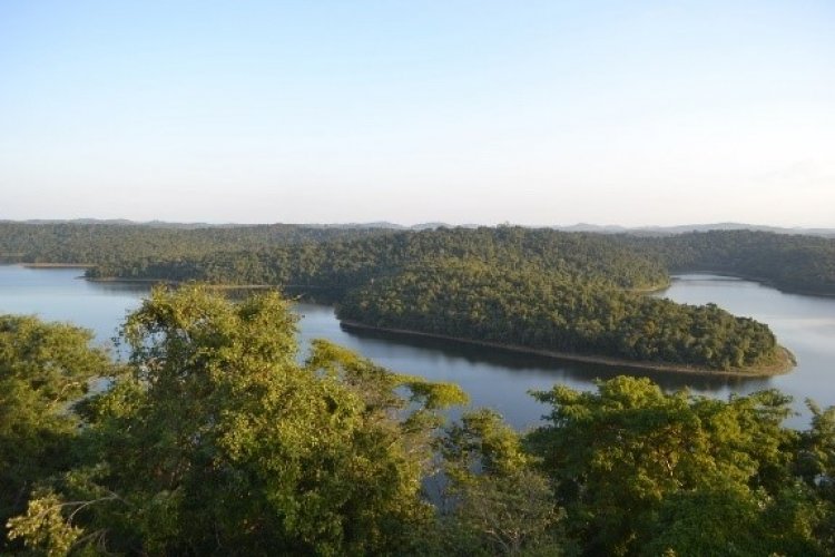 Parque Estadual do Rio Doce