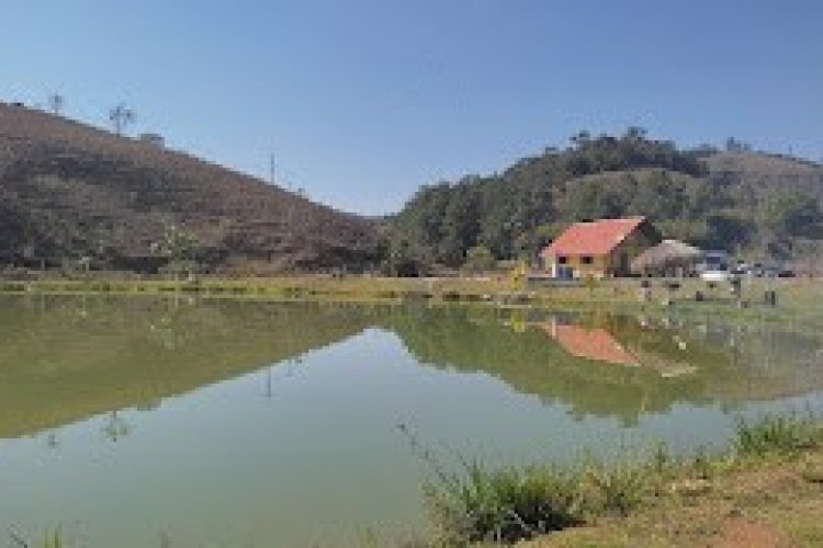 Clube Pesque e Pague 4.4