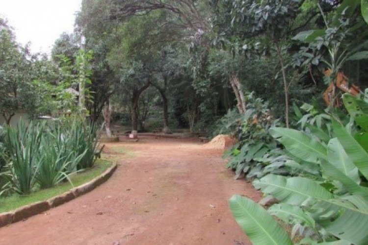 Bosque Municipal