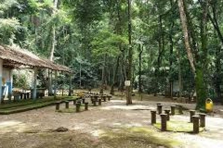 Parque Natural Chácara do Lessa
