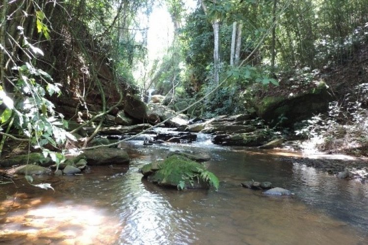 Cachoeira do Ruão